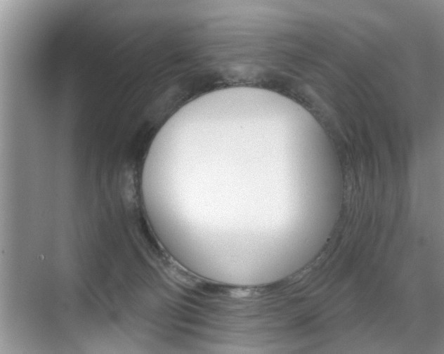 X0000076070130200609221003