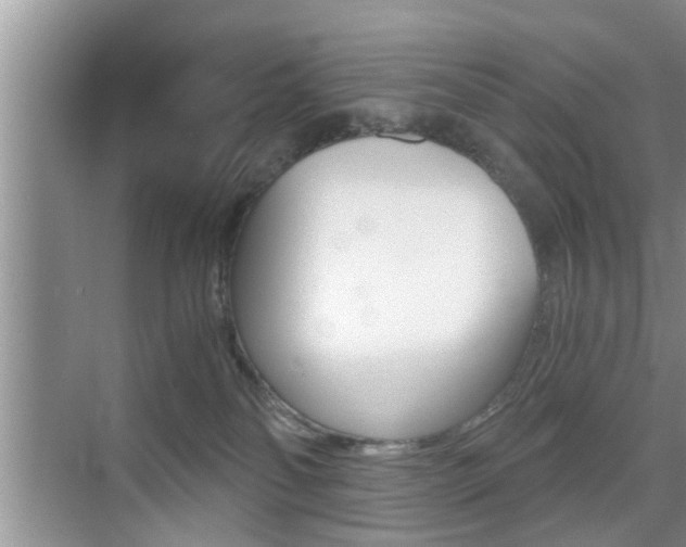 X0000076070134200609221003