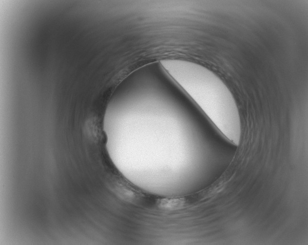 X0000076070135200609221003