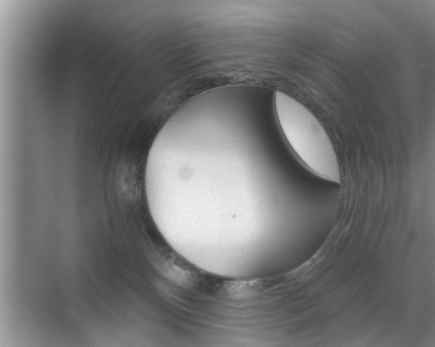 X0000076070136200609221003