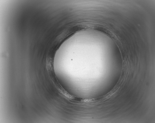 X0000076070141200609221003