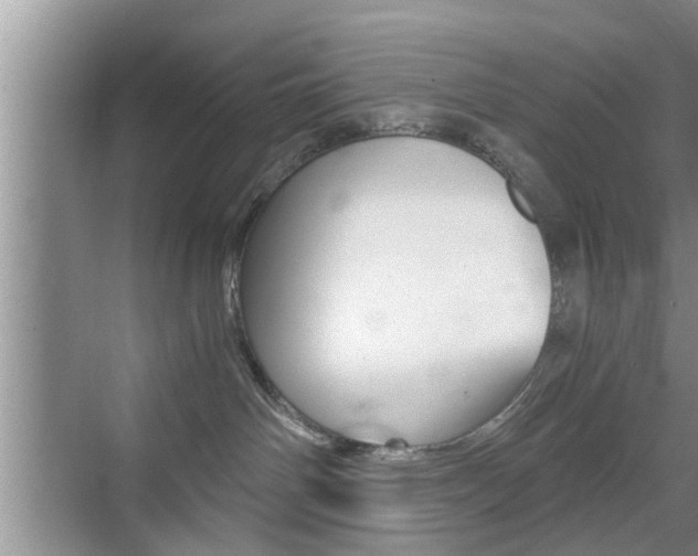 X0000076070142200609221003