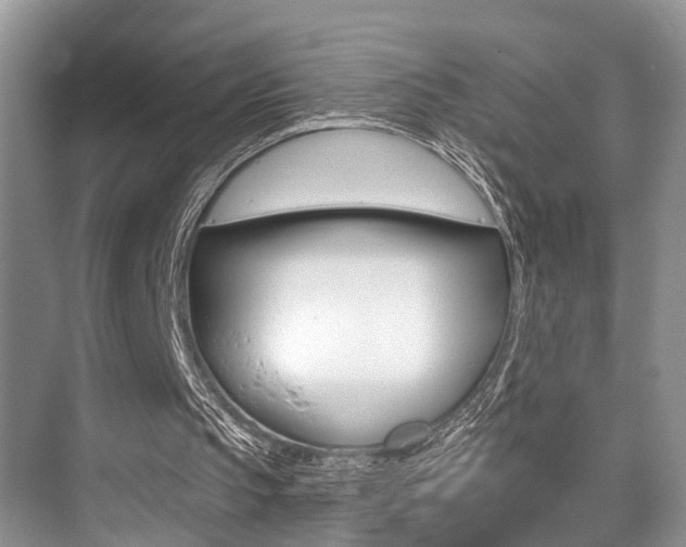 X0000076070145200609221002