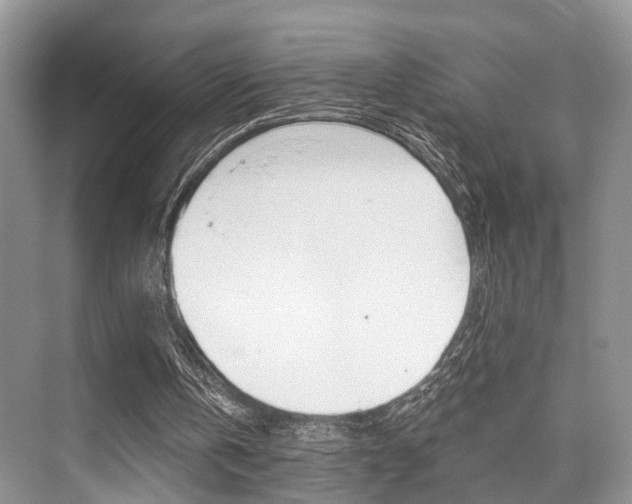 X0000076070146200609221002