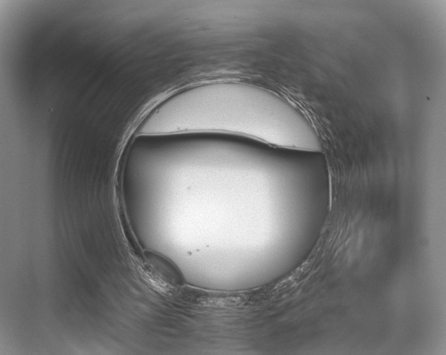 X0000076070147200609221002