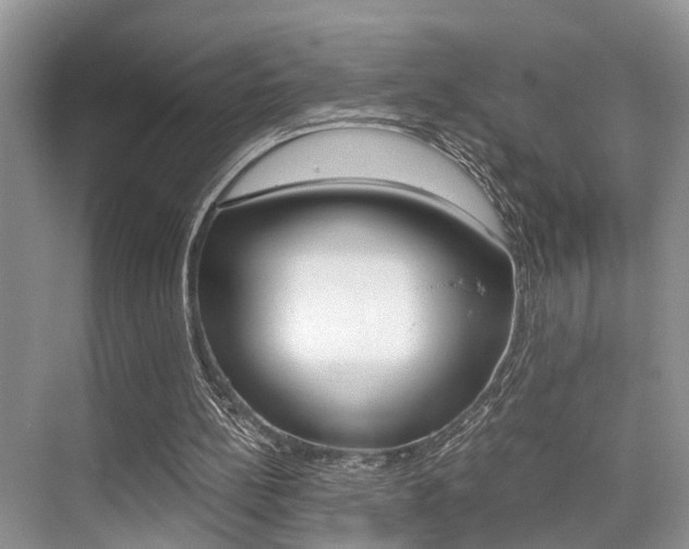 X0000076070148200609221002