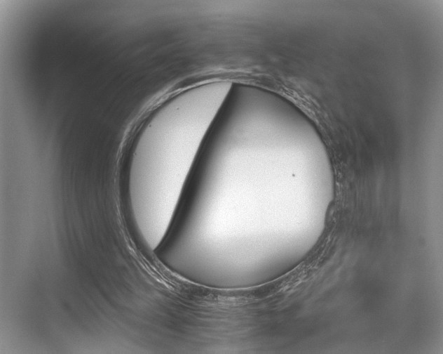 X0000076070149200609221002