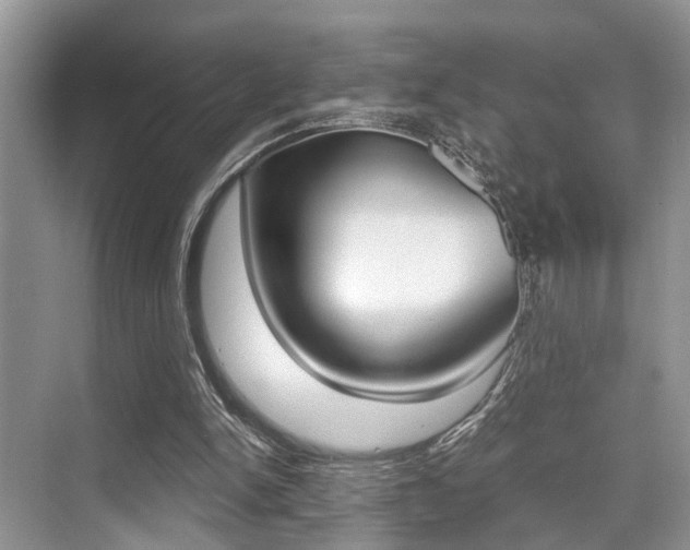 X0000076070150200609221002