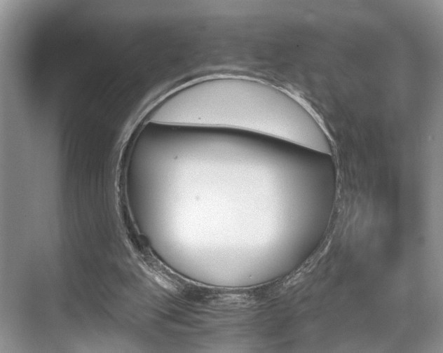 X0000076070151200609221002