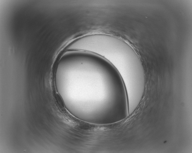 X0000076070152200609221002