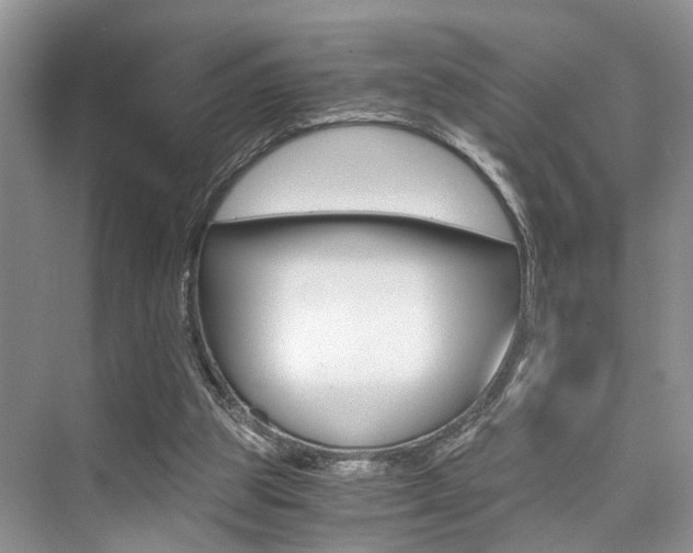 X0000076070153200609221002