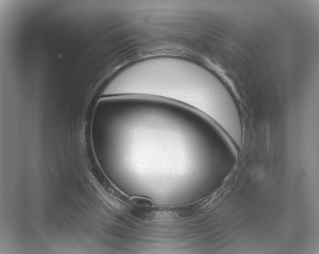 X0000076070154200609221002