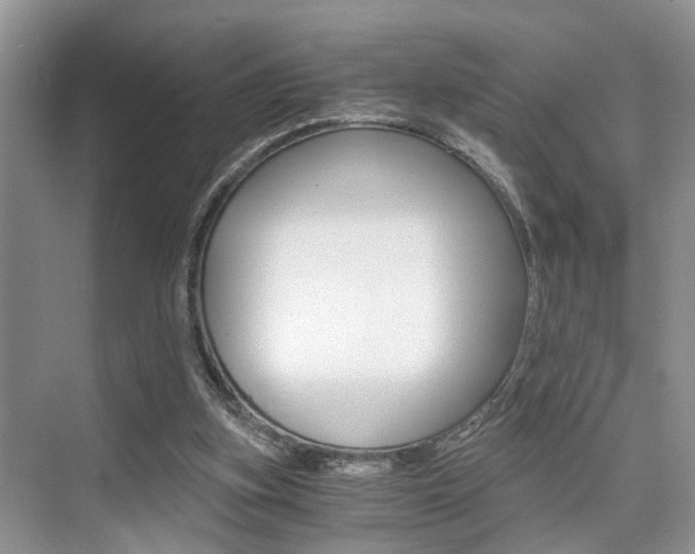 X0000076070155200609221002