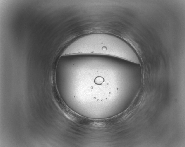 X0000076070157200609221002