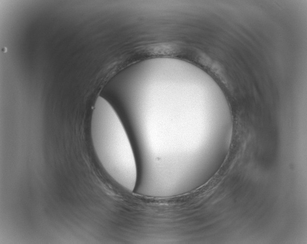 X0000076070161200609221002