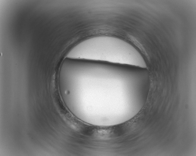 X0000076070163200609221002