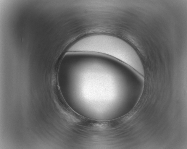 X0000076070164200609221002