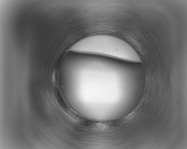 X0000076070166200609221002