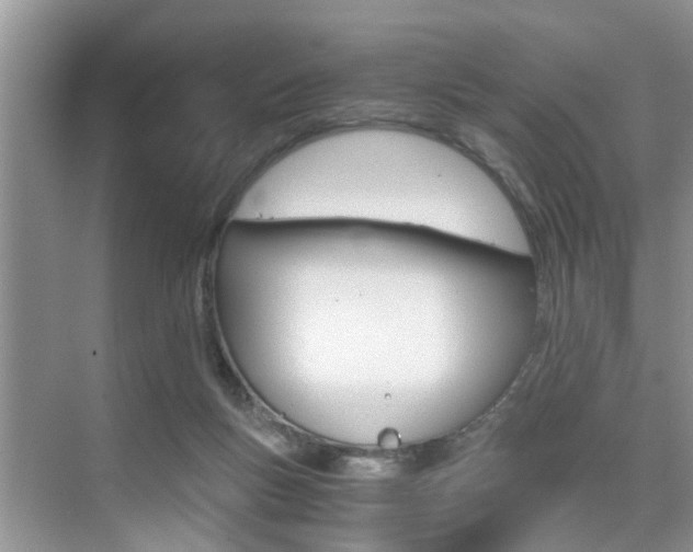 X0000076070167200609221002