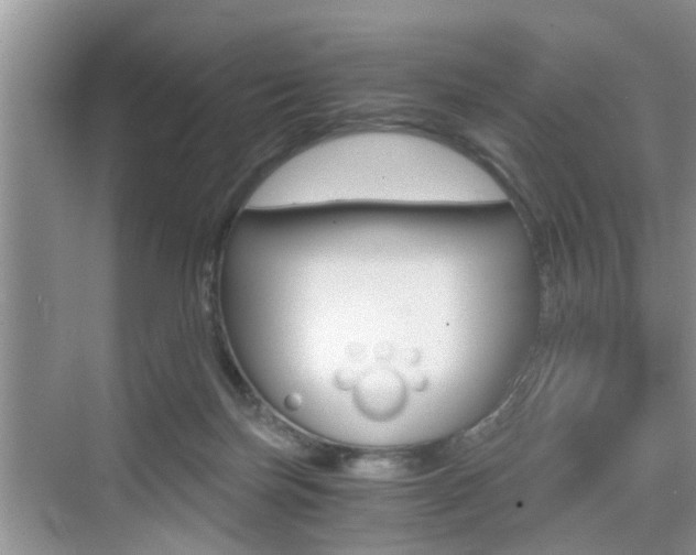 X0000076070171200609221002