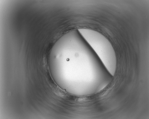 X0000076070173200609221002