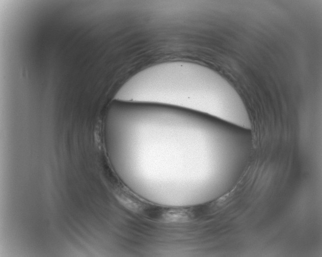 X0000076070175200609221002