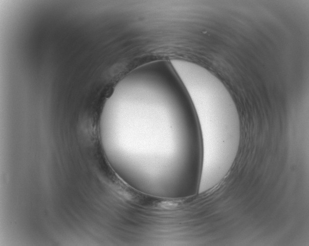 X0000076070176200609221003