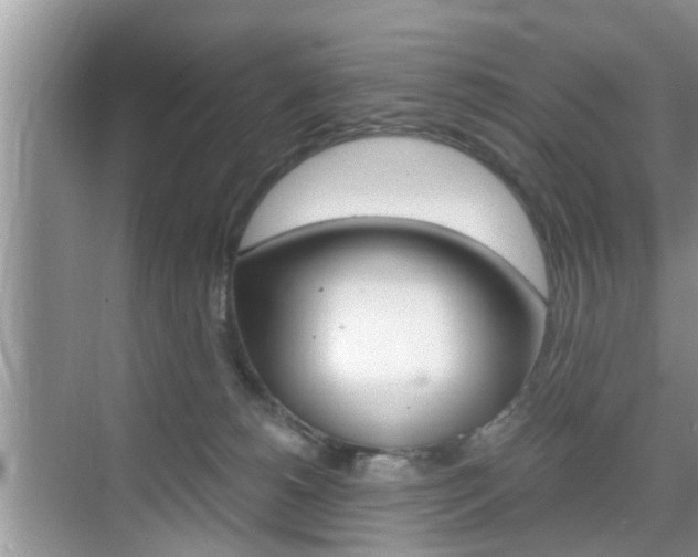 X0000076070180200609221003