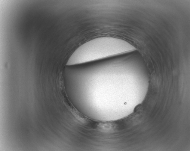 X0000076070181200609221003