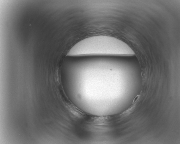 X0000076070182200609221003