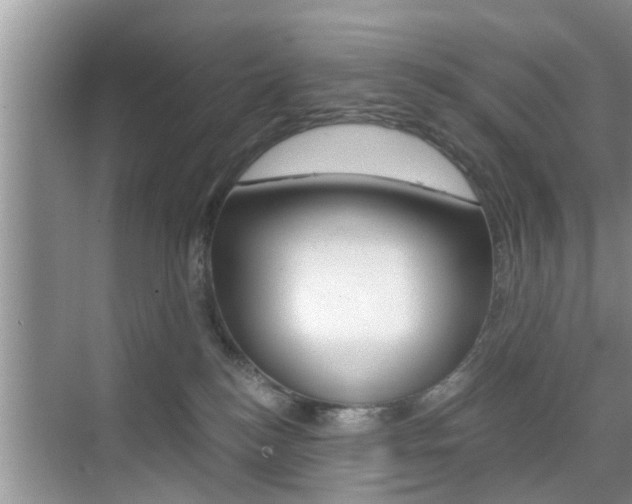 X0000076070184200609221003