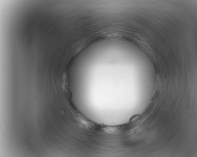 X0000076070189200609221003