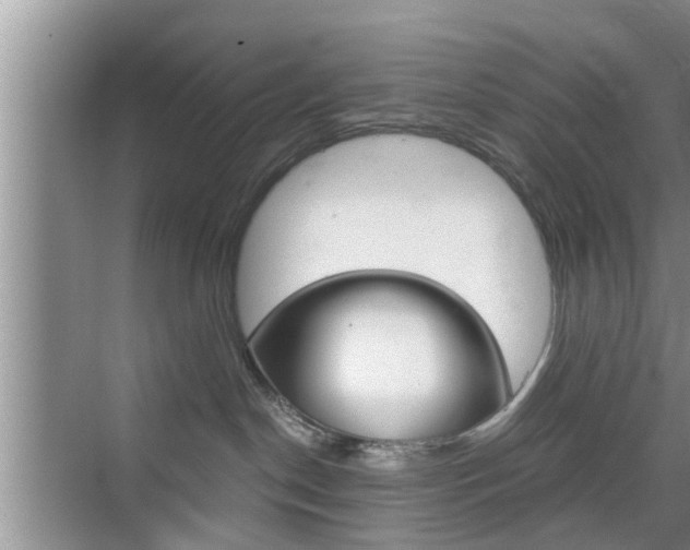 X0000076070190200609221003