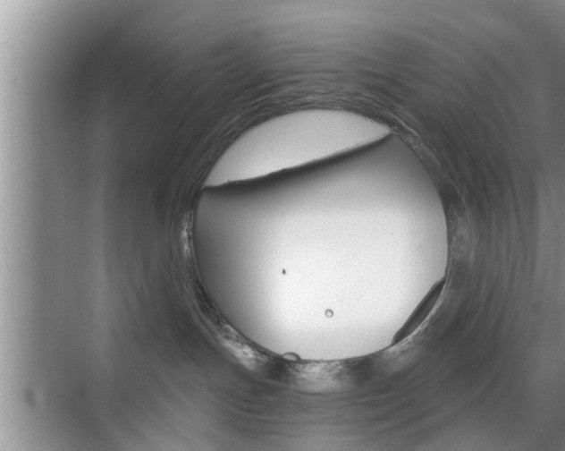 X0000076070191200609221003