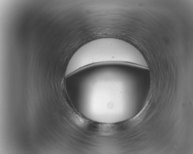 X0000076070192200609221003