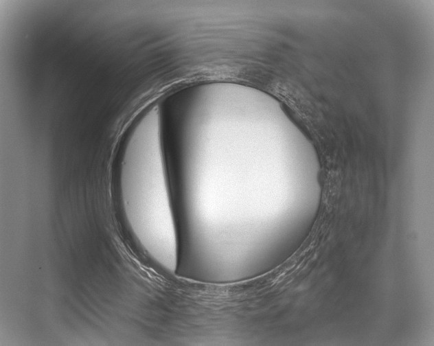 X0000076070194200609221002