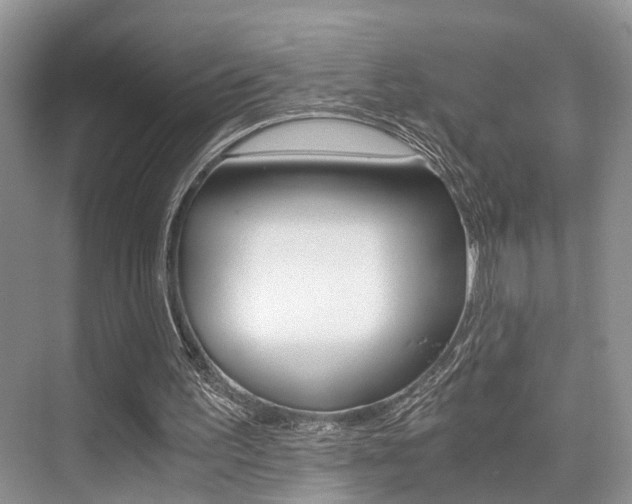 X0000076070195200609221002