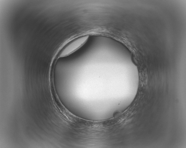 X0000076070196200609221002