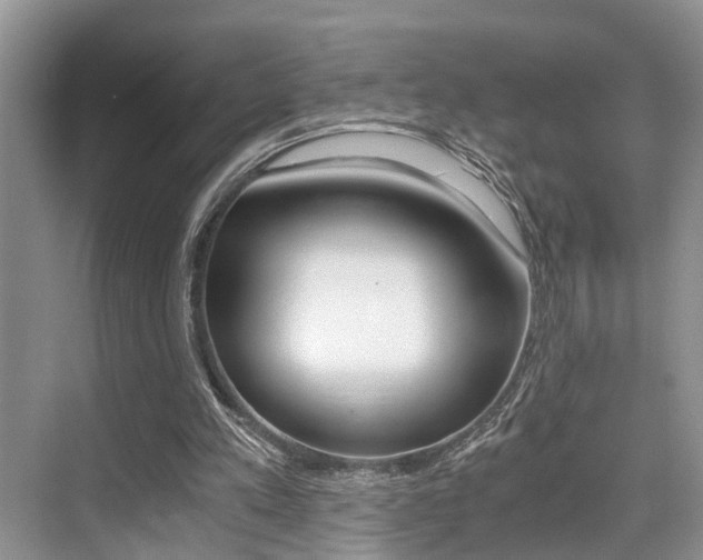 X0000076070197200609221002