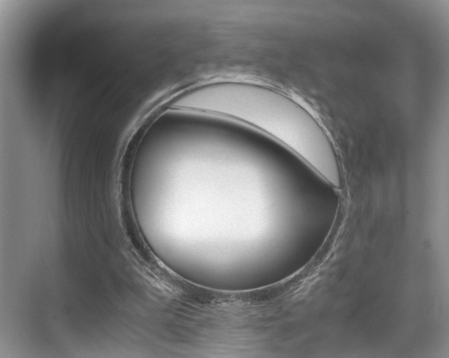 X0000076070199200609221002