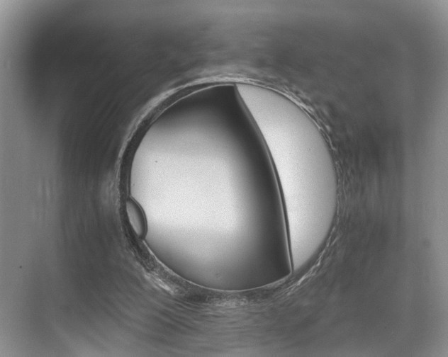 X0000076070200200609221002