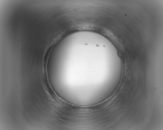 X0000076070202200609221002