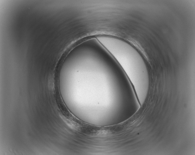 X0000076070204200609221002