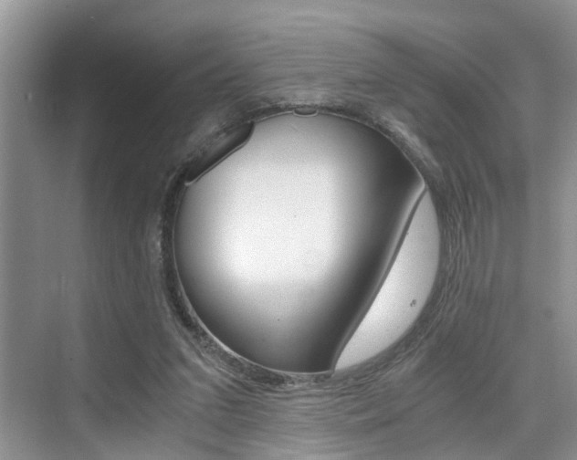 X0000076070207200609221002