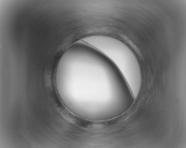 X0000076070209200609221002