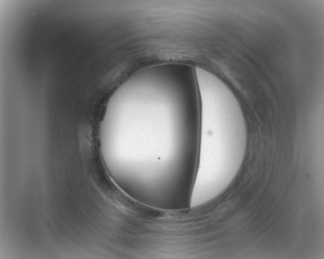 X0000076070211200609221002