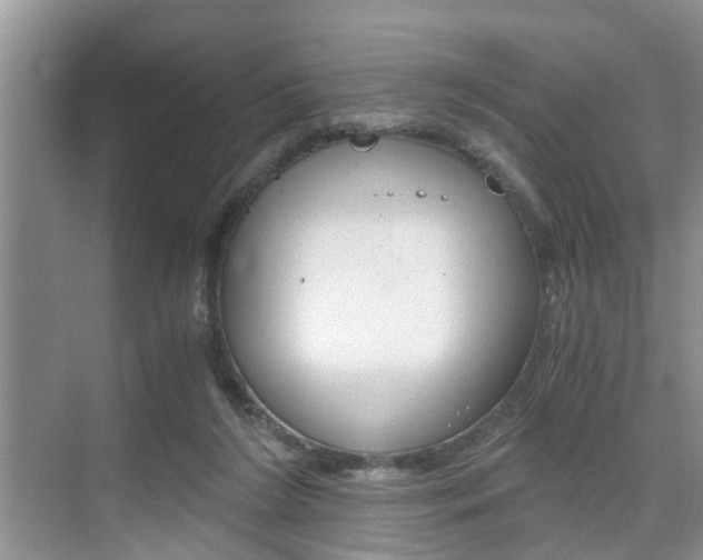 X0000076070212200609221002