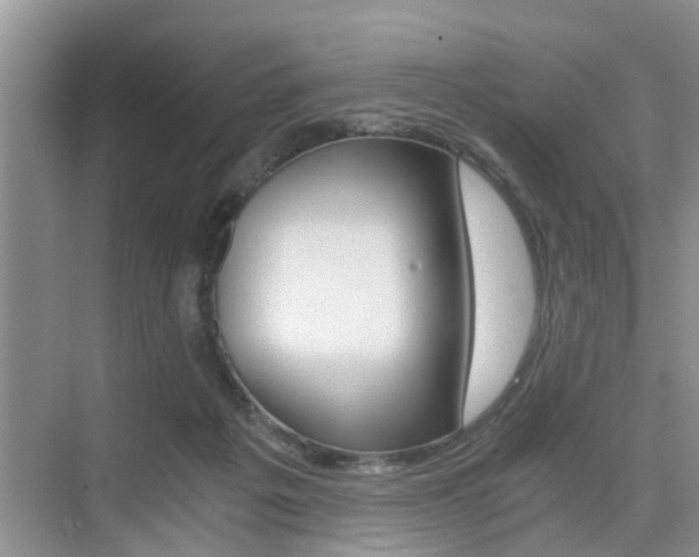 X0000076070217200609221002