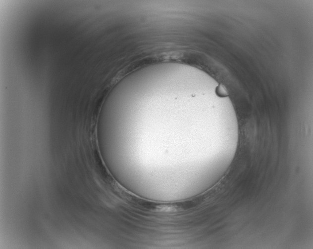 X0000076070218200609221002