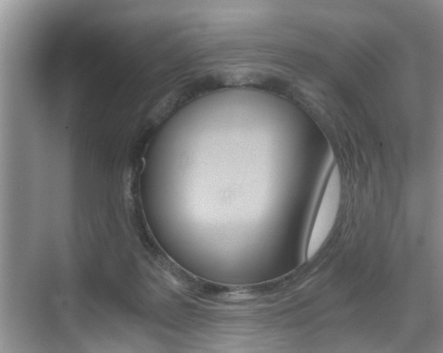 X0000076070219200609221002